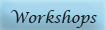 Workshops